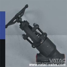 A105 / F304 / F316 Valve de type Y